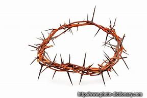 a thorn in the flesh